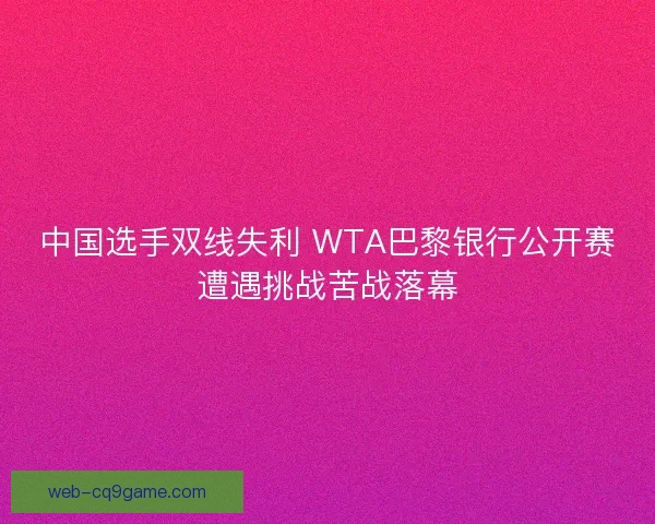 中国选手双线失利 WTA巴黎银行公开赛遭遇挑战苦战落幕