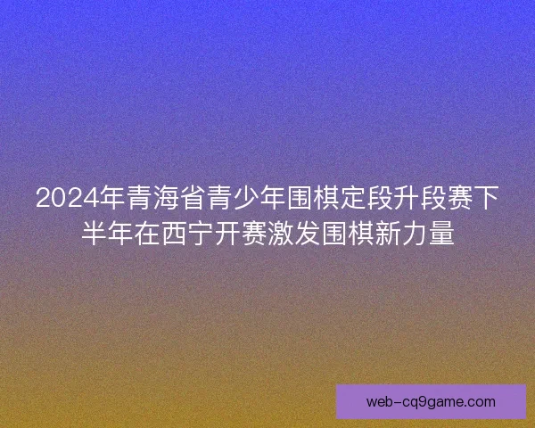 2024年青海省青少年围棋定段升段赛下半年在西宁开赛激发围棋新力量