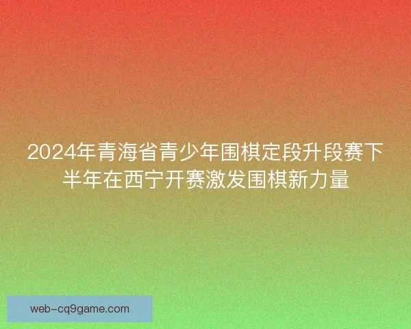 2024年青海省青少年围棋定段升段赛下半年在西宁开赛激发围棋新力量