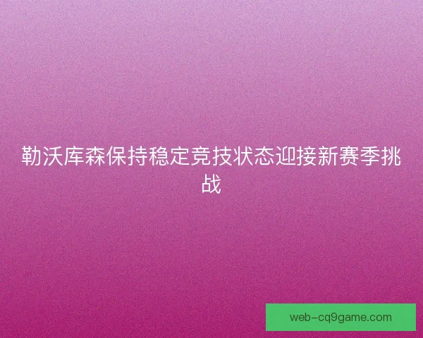 勒沃库森保持稳定竞技状态迎接新赛季挑战