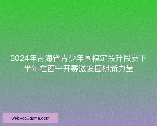 2024年青海省青少年围棋定段升段赛下半年在西宁开赛激发围棋新力量 2024年青海省青少年围棋定段升段赛下半年在西宁开赛激发围棋新力量